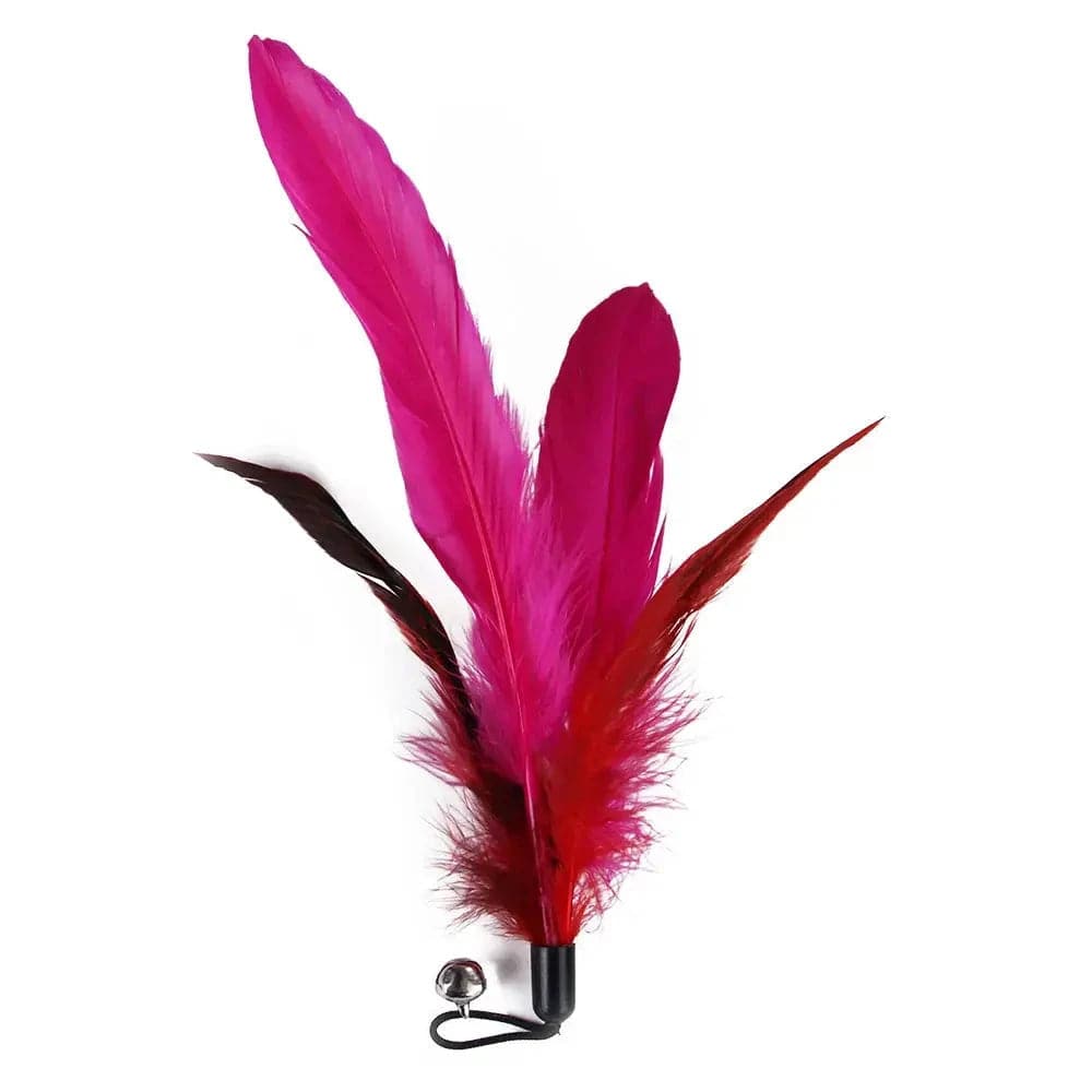 11 Pcs Replacement Cat Feather Toy Set Cat Feather Teaser Wand Toy - TrendyPet's Zone