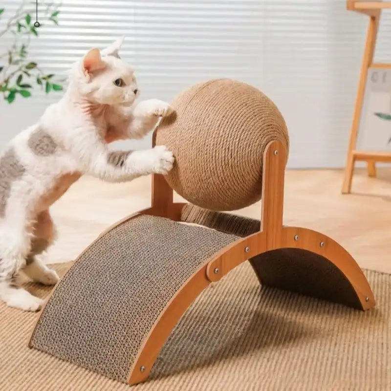TrendyPet's Zone 2-in-1 cat scratching ball and sisal scratch board for cats, featuring a colorful ball and durable sisal surface.