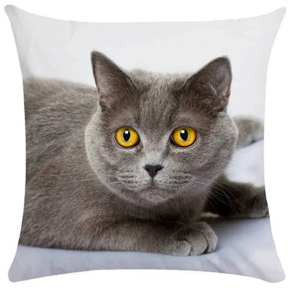 TrendyPet's Zone cat-themed cushion cover with cute pet cat pictures, perfect for sofa and living room home decor.