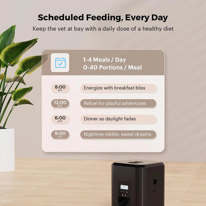 Black 2L TrendyPet's Zone smart automatic pet feeder with timer and button for dry food, suitable for dogs and cats.