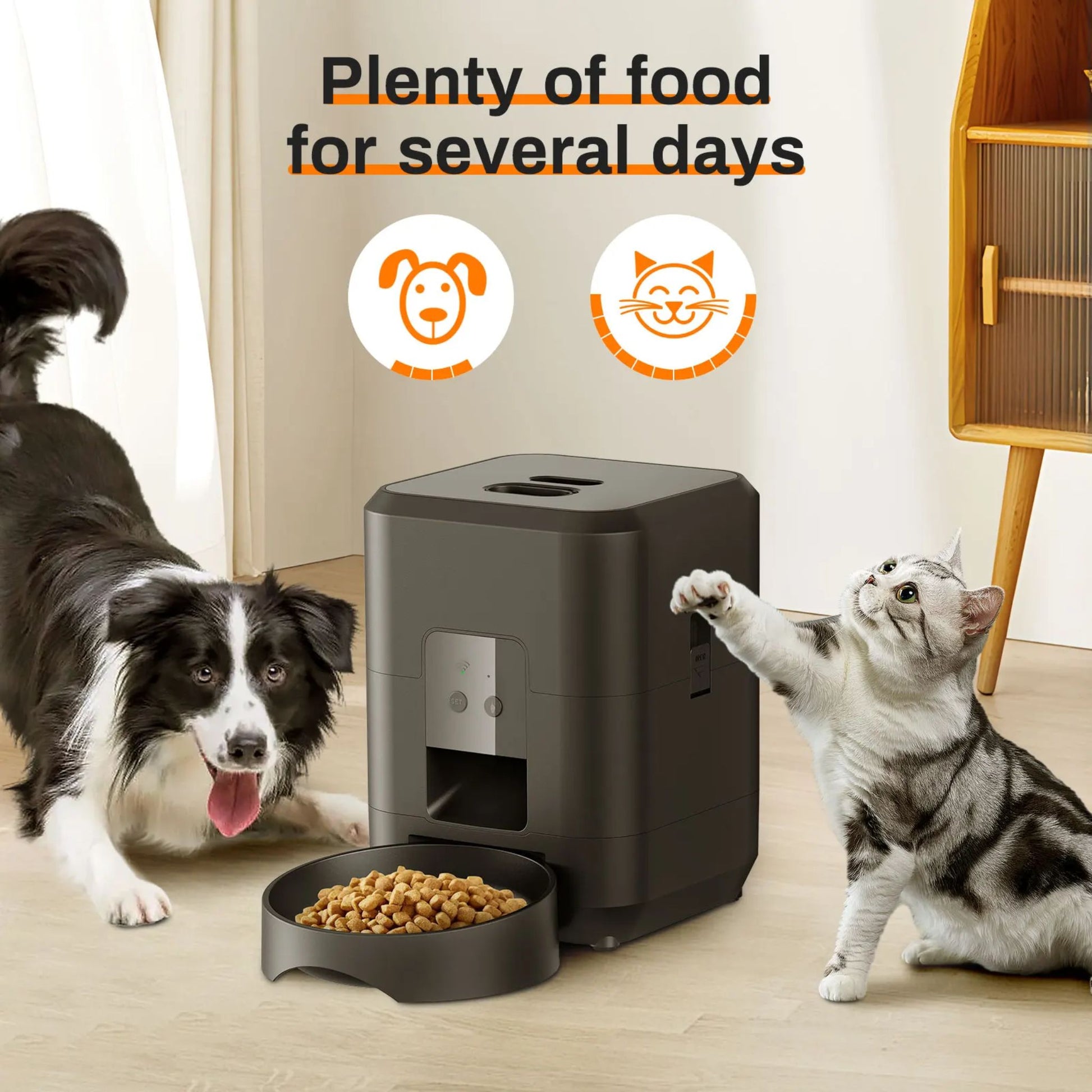Black 2L smart automatic pet feeder from TrendyPet's Zone with WiFi app, timer, and dry food dispenser for dogs and cats.