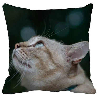 TrendyPet's Zone cushion cover with cute cat pictures, perfect for sofa or living room home decor, made of soft textile fabric.