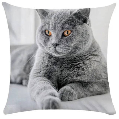 TrendyPet's Zone cushion cover with cute cat pictures, perfect for sofa or living room home decor, made from soft textiles.