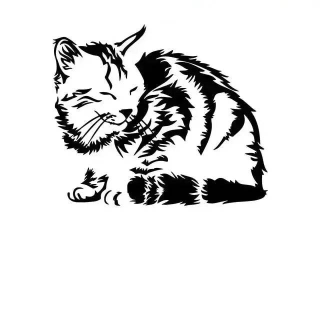 Cute Cat Vinyl Decals Stickers Vehicle Body Decoration #5 - TrendyPet's Zone
