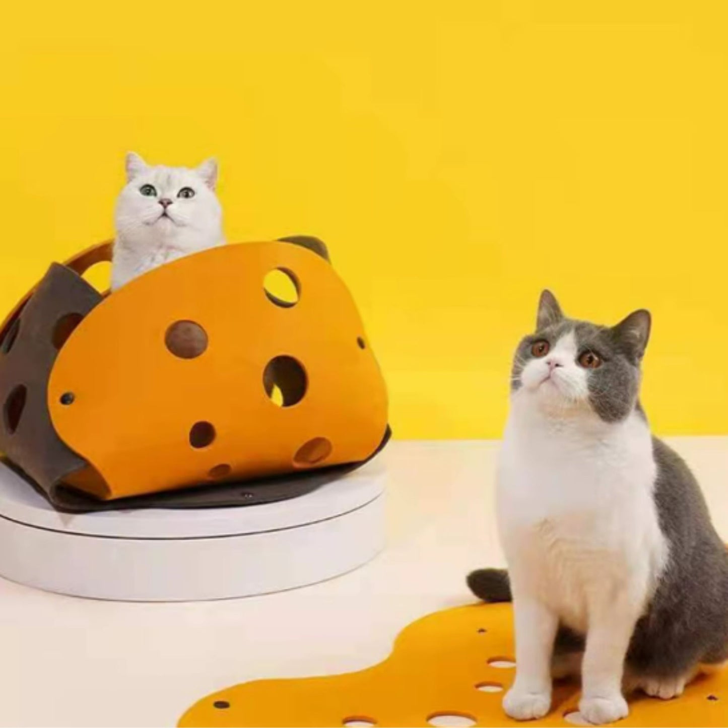 TrendyPet's Zone 5mm thick felt splicing cat toy tunnel, collapsible and deformable kitten tunnel for interactive play.