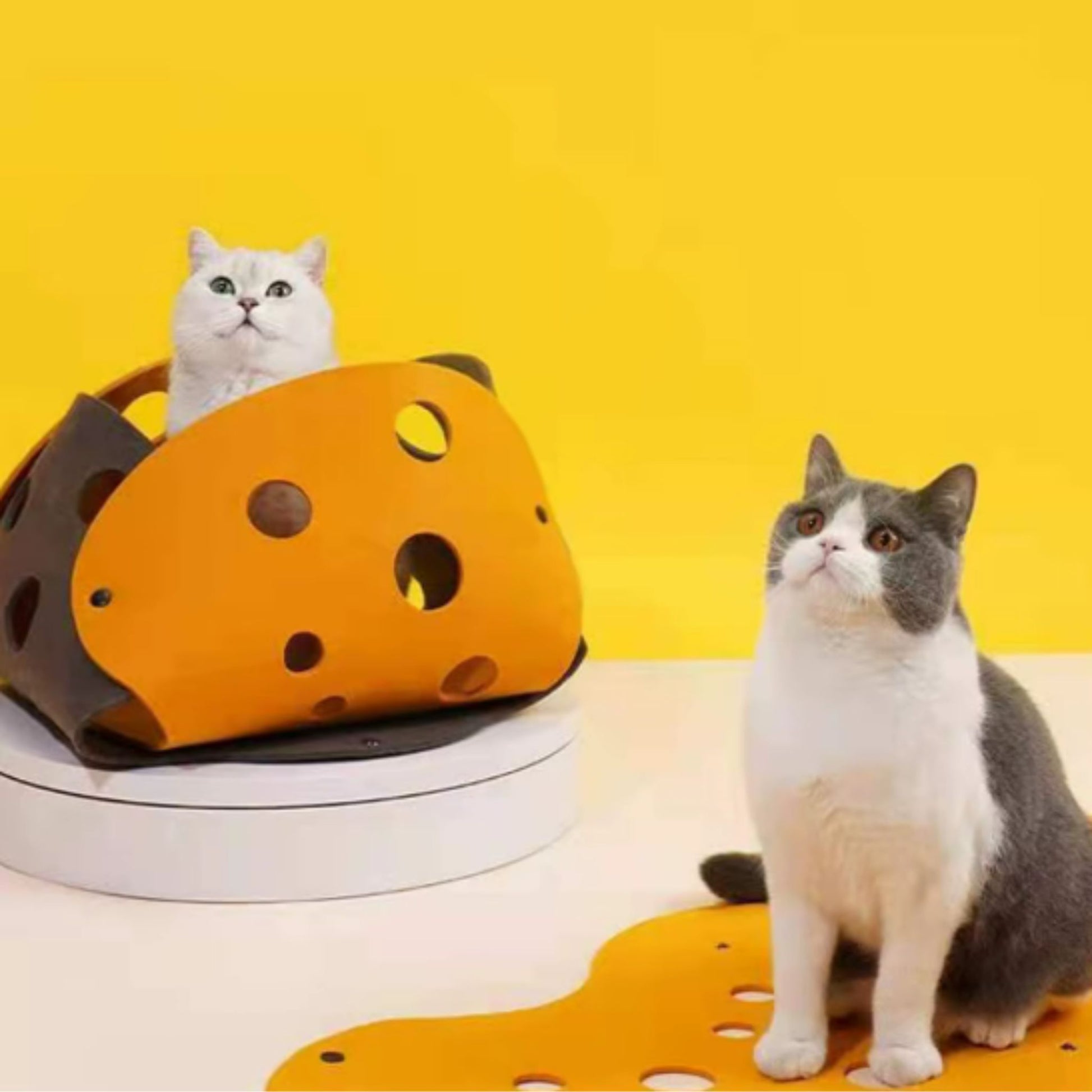 TrendyPet's Zone 5mm thick felt splicing cat toy tunnel, collapsible and deformable kitten tunnel for interactive play.