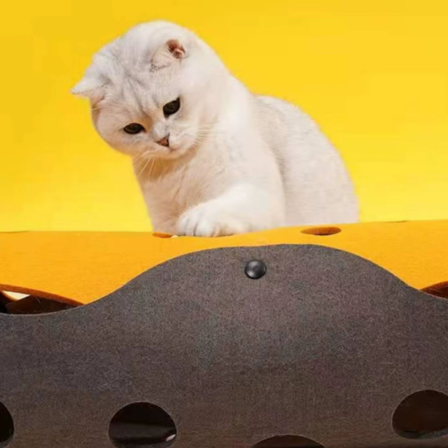 TrendyPet's Zone 5mm thick felt kitten tunnel, collapsible and deformable, ideal for interactive cat play and cozy hiding.