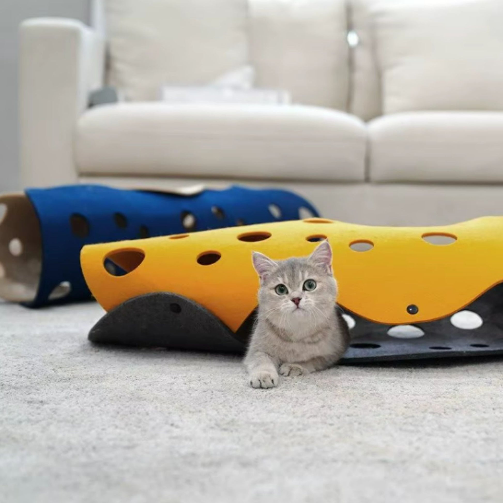 TrendyPet's Zone 5mm thick felt kitten tunnel, collapsible and deformable for interactive cat play and cozy hideaway.
