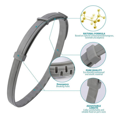 8-Month Flea & Tick Collar for Dogs – Natural, Waterproof, Adjustable & Glow-in-the-Dark Pest Protection TrendyPet's Zone