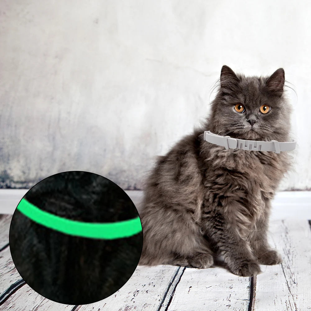 TrendyPet's Zone 8-month flea and tick collar for cats, waterproof, adjustable, and glow-in-the-dark pest protection.