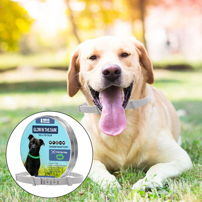 TrendyPet's Zone 8-month flea and tick collar for dogs, waterproof, adjustable, and glow-in-the-dark pest protection.