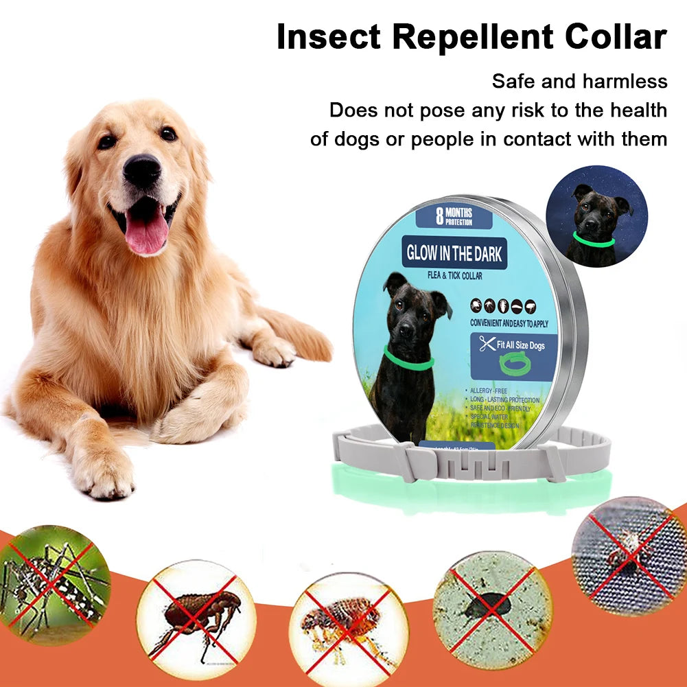 TrendyPet's Zone 8-month flea and tick collar for dogs, waterproof, adjustable, glow-in-the-dark pest protection.