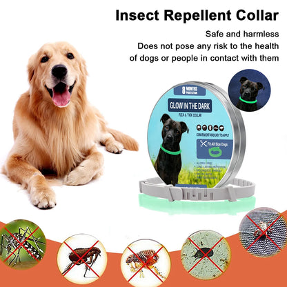 TrendyPet's Zone 8-month flea and tick collar for dogs, waterproof, adjustable, glow-in-the-dark pest protection.