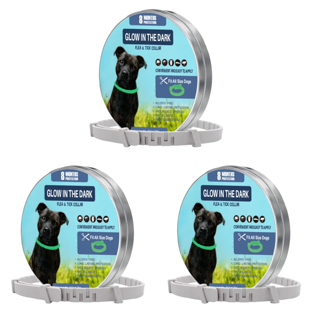 TrendyPet's Zone 8-month flea and tick collar for dogs, waterproof, adjustable, and glow-in-the-dark pest protection.