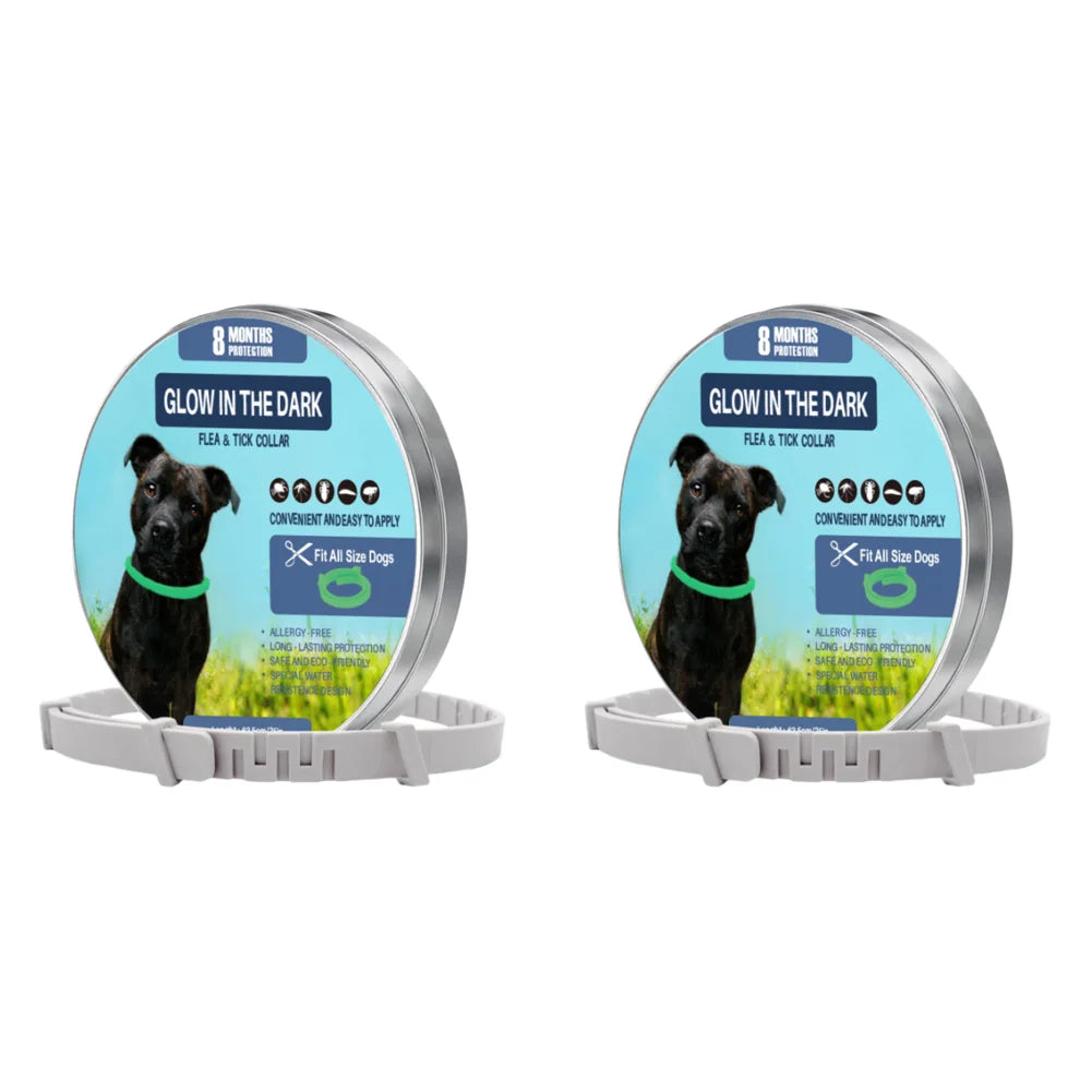 TrendyPet's Zone 8-month flea and tick collar for dogs, waterproof, adjustable, and glow-in-the-dark pest protection.