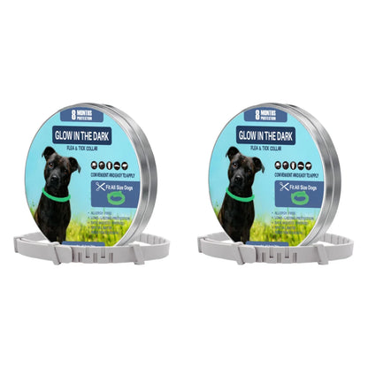 TrendyPet's Zone 8-month flea and tick collar for dogs, waterproof, adjustable, and glow-in-the-dark pest protection.