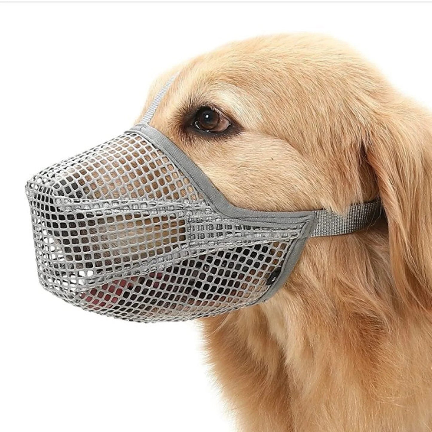 Adjustable Breathable Grey Dog Mesh Muzzle Anti-Barking Accessory - TrendyPet's Zone