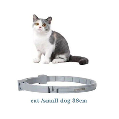 Adjustable Flea & Tick Collar for Cats – 8 Months Protection, Waterproof Anti-Flea Neck Collar TrendyPet's Zone