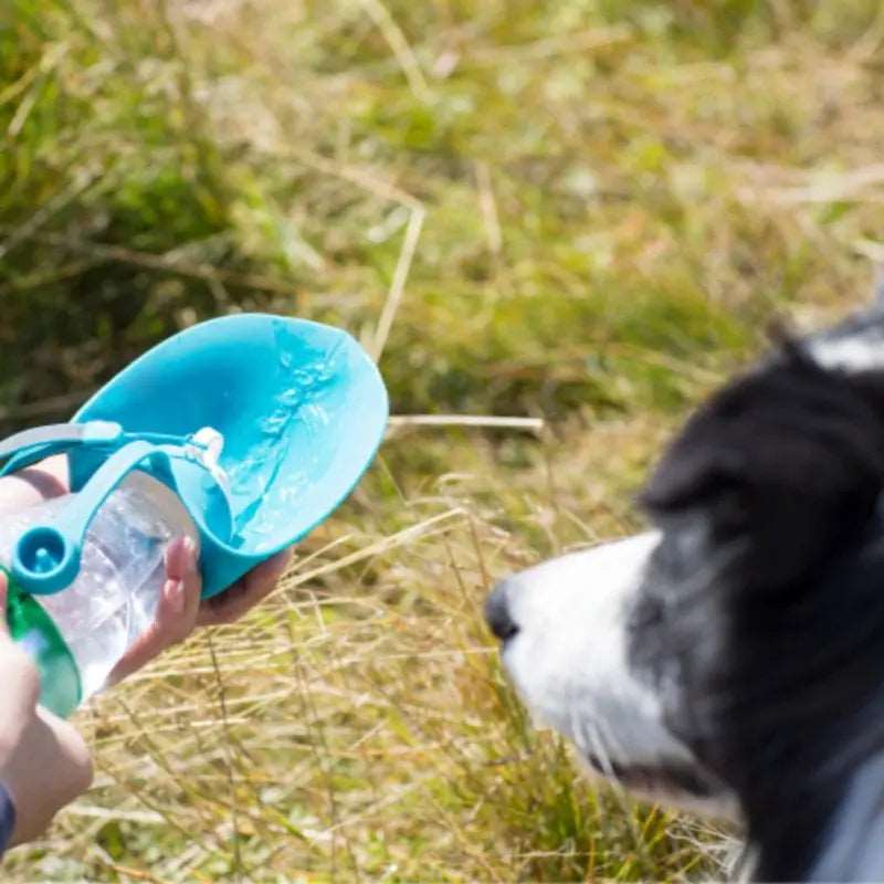 Blue 580ml Portable Pet Water Bottle Silicone Travel Bowl Outdoor Pet Water Dispenser - TrendyPet's Zone