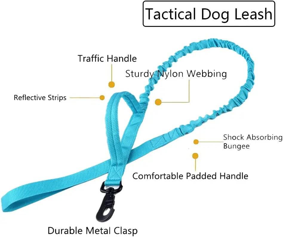 Blue Durable Tactical Dog Collar Leash Set Military Pet Collars Heavy Duty For Dogs Training Accessories - TrendyPet's Zone