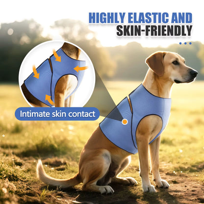 Blue Dog Anti-Anxiety Jacket Calming Coat for Thunder Relief - TrendyPet's Zone
