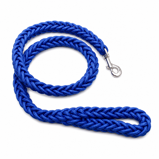 Blue super strong coarse nylon dog leash with double row adjustable collar for medium to large dogs by TrendyPet's Zone.