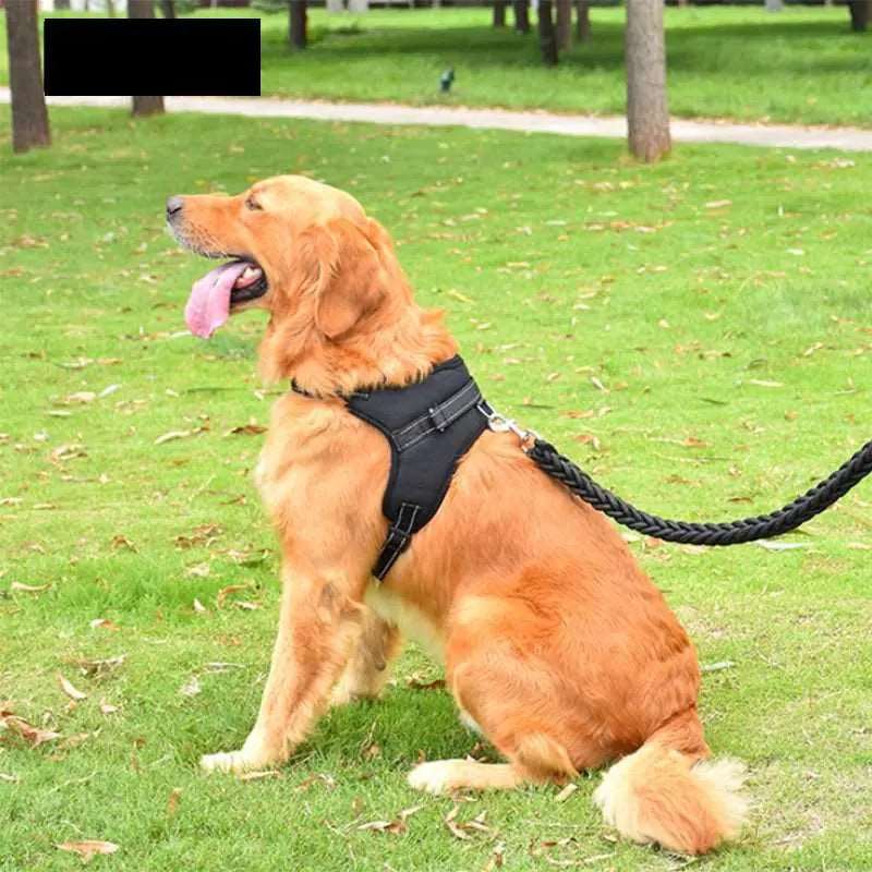 British Flag Colors Pet Dogs Adjustable Harness Small and Large Dog Harness Vest - TrendyPet's Zone