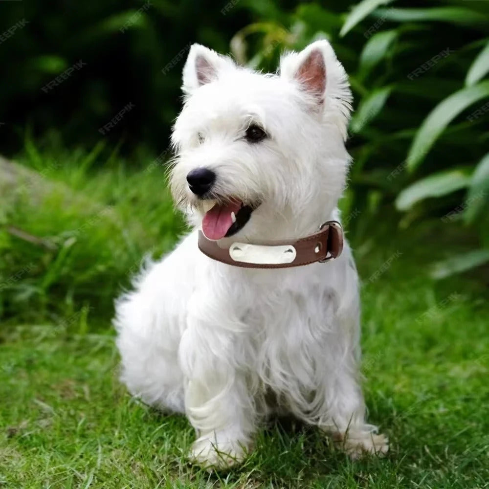 Brown Adjustable PU Leather Dog Collar with ID Tag TRENDYPET'S ZONE