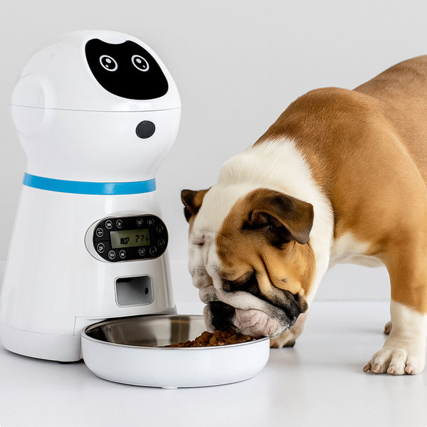 Customer pet photo