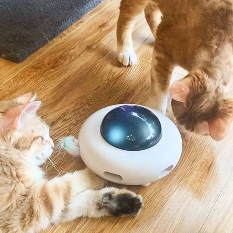 Cat Toy Smart Teaser Pet Turntable Catching Training USB Charging Interactive Auto Replacement Feather - TrendyPet's Zone