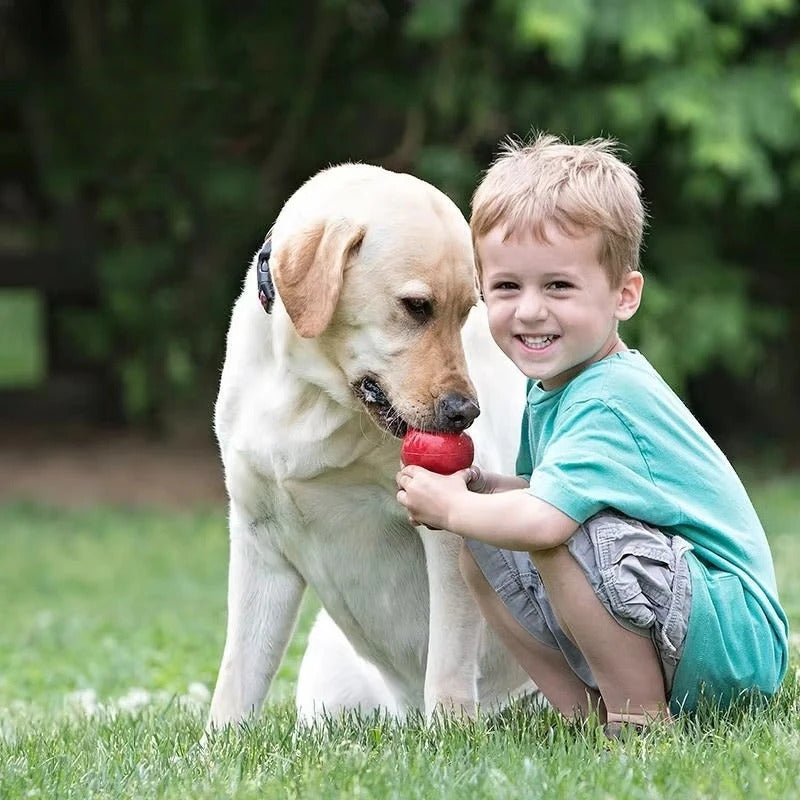 Classic KONG Dog Toy Durable Stuffable Chew Toy - TrendyPet's Zone