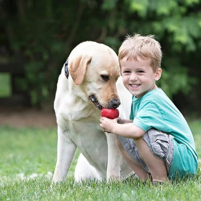 Classic KONG Dog Toy Durable Stuffable Chew Toy - TrendyPet's Zone