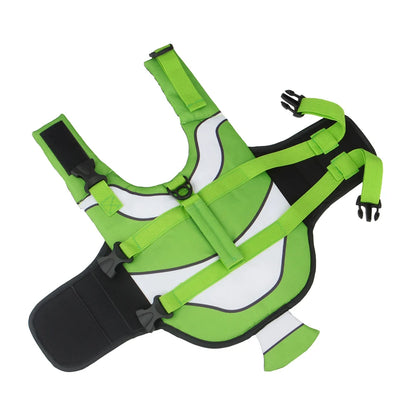 Green clown fish-themed dog life jacket from TrendyPet's Zone, designed for swimming safety and summer outdoor water activities.