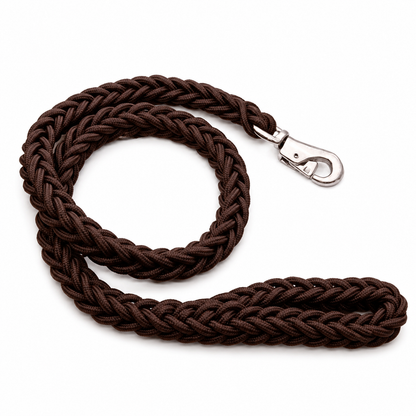 Cozy coffee-colored nylon dog leash with double-row design, adjustable collar for medium to large dogs by TrendyPet's Zone