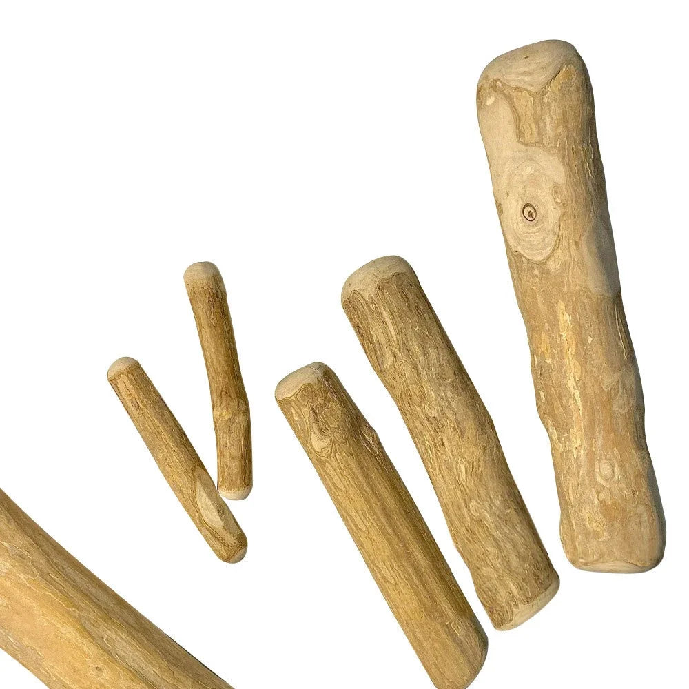 Coffee Wooden Dog Chew Stick for Healthy Teeth & Playtime TrendyPet's Zone