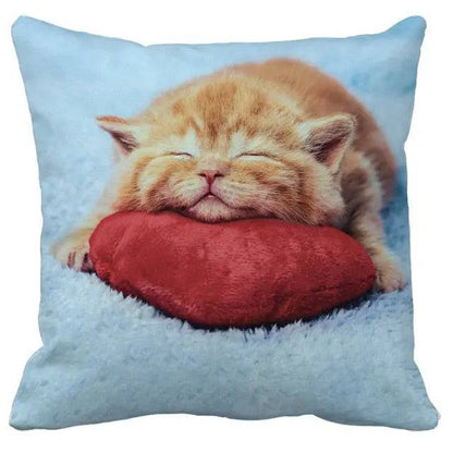 TrendyPet's Zone cushion cover featuring playful cat pictures, perfect for sofa or living room home decor, made of soft textiles.