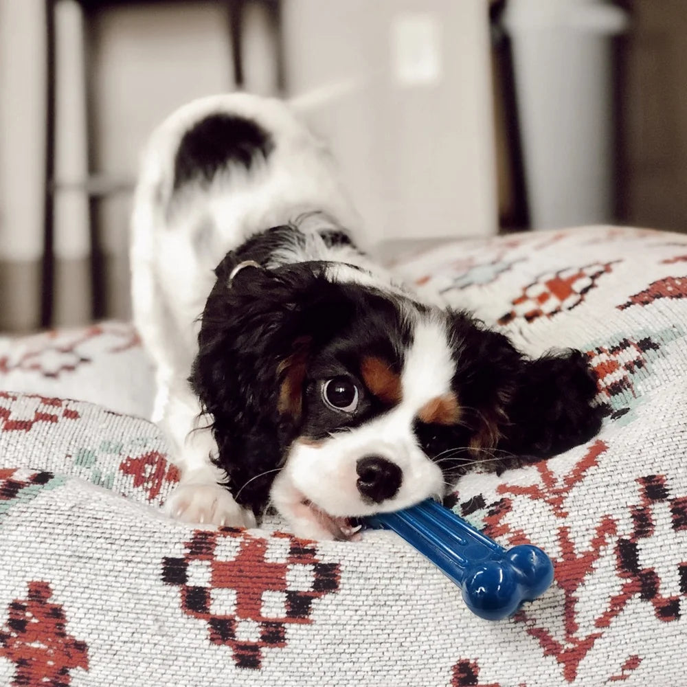 Dental Care Chew Toys Value Pack for Small Dogs Up to 15 lbs - TrendyPet's Zone
