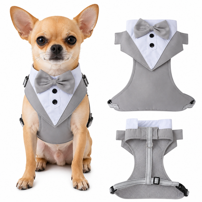 Dog tuxedo suit with bowtie from TrendyPet's Zone, stylish pet outfit for weddings and parties, shown on a small dog.