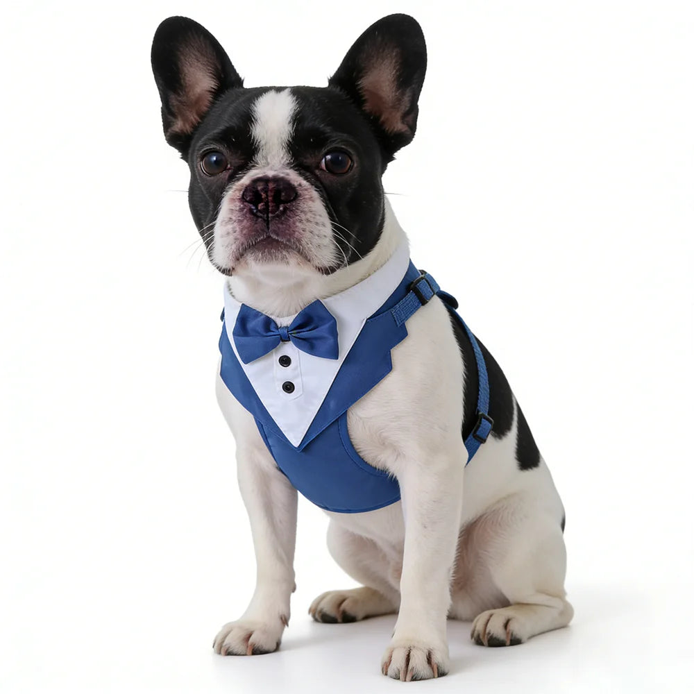 Dog tuxedo suit with bowtie from TrendyPet's Zone, stylish pet outfit for weddings and parties, shown on a small dog.