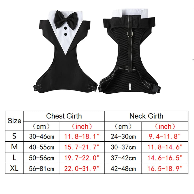 Dog tuxedo suit with bowtie from TrendyPet's Zone, stylish for weddings and parties, shown on a small dog model.