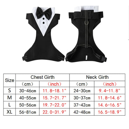 Dog tuxedo suit with bowtie from TrendyPet's Zone, stylish for weddings and parties, shown on a small dog model.