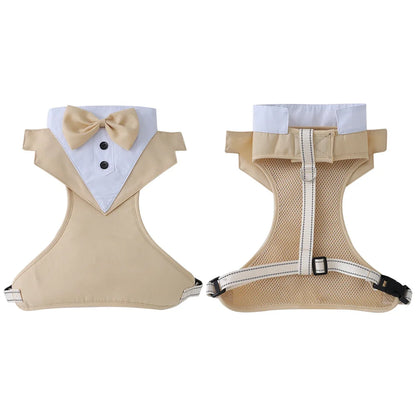 Dog tuxedo suit with bowtie from TrendyPet's Zone, stylish pet outfit for weddings and parties, shown on a small dog.