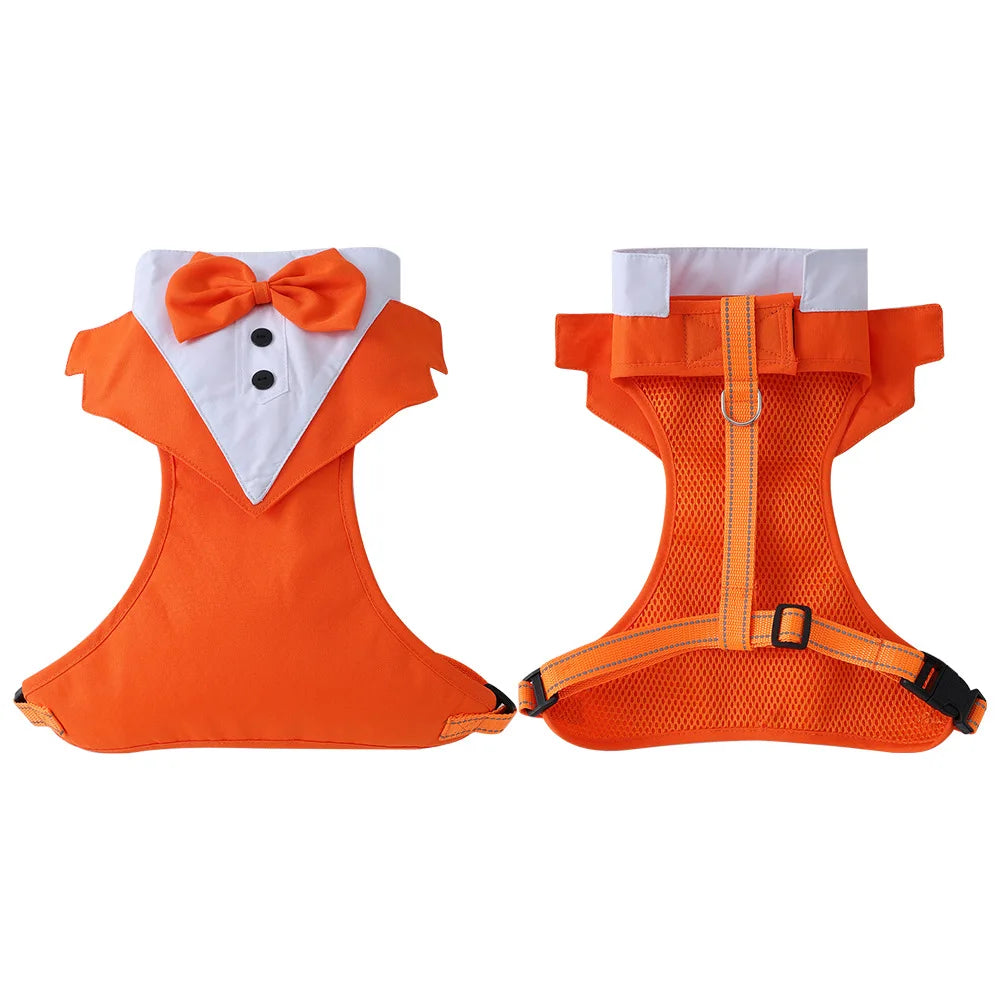 Dog tuxedo suit with bowtie from TrendyPet's Zone, stylish pet outfit for weddings and parties, shown on a small dog.
