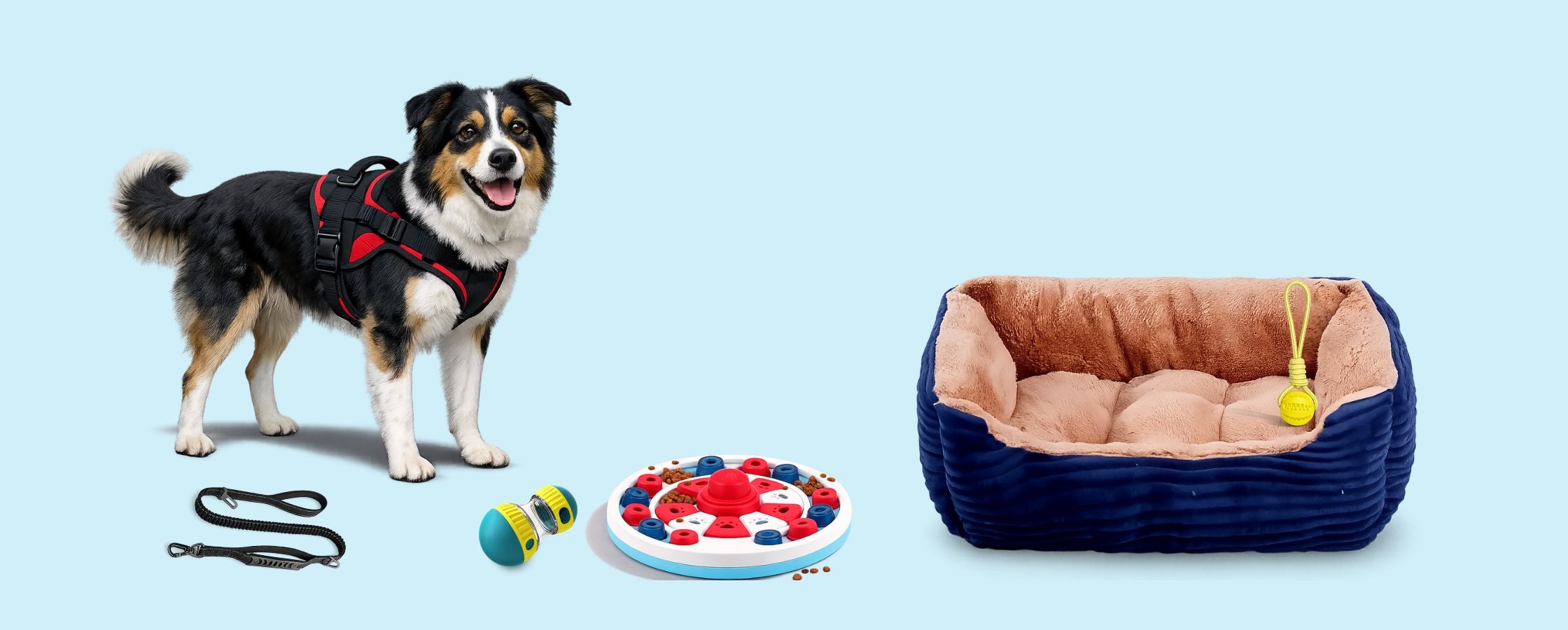 Dog with pet accessories including a bed, toys, and leash on a light blue background TrendyPet's Zone
