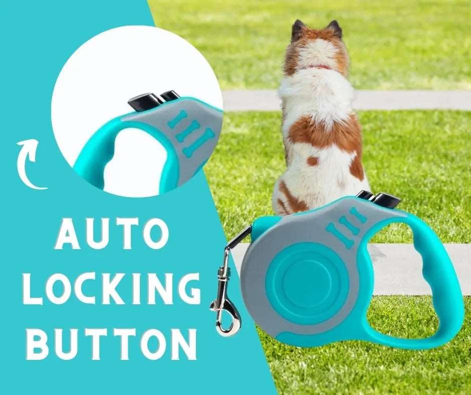 Gray Blue Dog Leash 3m 5m Durable Leash Automatic Retractable Nylon Cat Lead Extension Puppy Walking Running Lead Roulette For Dog - TrendyPet's Zone