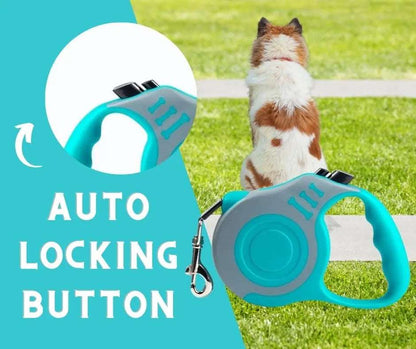 Gray Blue Dog Leash 3m 5m Durable Leash Automatic Retractable Nylon Cat Lead Extension Puppy Walking Running Lead Roulette For Dog - TrendyPet's Zone