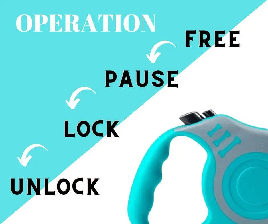 Gray Blue Dog Leash 3m 5m Durable Leash Automatic Retractable Nylon Cat Lead Extension Puppy Walking Running Lead Roulette For Dog - TrendyPet's Zone
