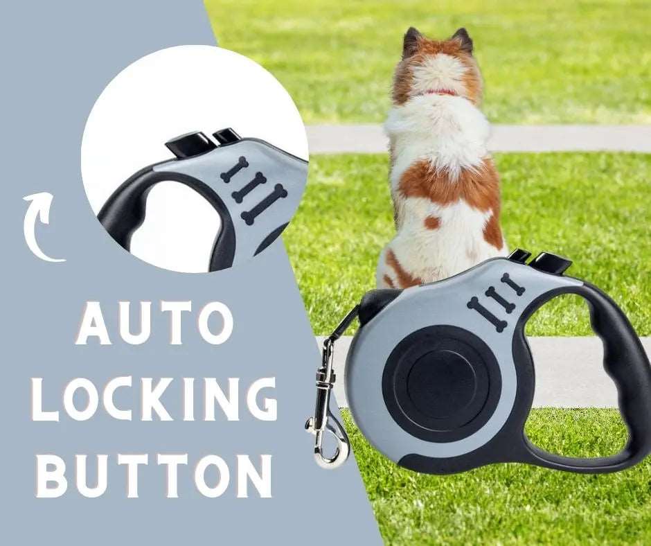 Gray Dog Leash 3m 5m Durable Leash Automatic Retractable Nylon Cat Lead Extension Puppy Walking Running Lead Roulette For Dog - TrendyPet's Zone