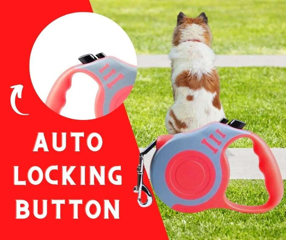 Gray Red Dog Leash 3m 5m Durable Leash Automatic Retractable Nylon Cat Lead Extension Puppy Walking Running Lead Roulette For Dog - TrendyPet's Zone