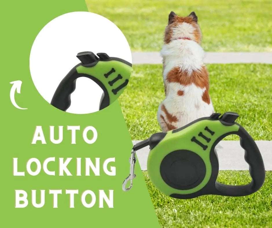 Green Dog Leash 3m 5m Durable Leash Automatic Retractable Nylon Cat Lead Extension Puppy Walking Running Lead Roulette For Dog - TrendyPet's Zone